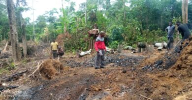 WhatsApp Image 2025-10-29 at 14.11.15