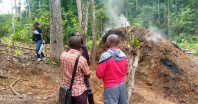 WhatsApp Image 2025-10-29 at 14.11.17