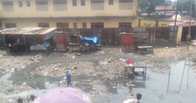 IMG_20260116_133628_413