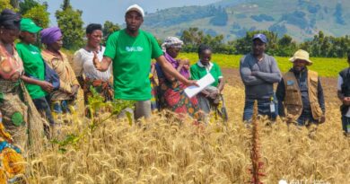 WhatsApp Image 2026-01-27 at 14.13.38