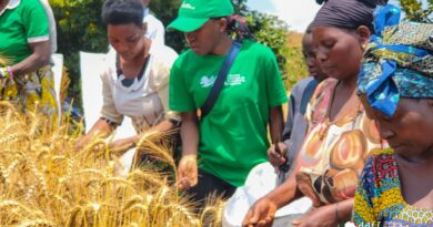 WhatsApp Image 2026-01-27 at 14.13.39 (1)