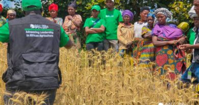 WhatsApp Image 2026-01-27 at 14.13.39