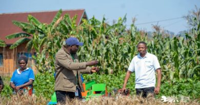 WhatsApp Image 2026-01-27 at 14.13.40 (1)