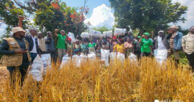 WhatsApp Image 2026-01-27 at 14.13.40