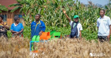 WhatsApp Image 2026-01-27 at 14.13.42 (1)