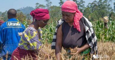 WhatsApp Image 2026-01-27 at 14.13.42