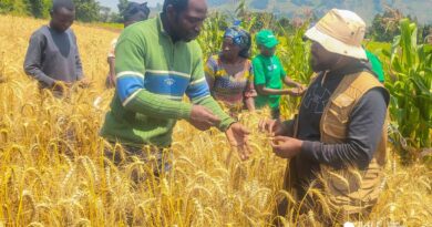 WhatsApp Image 2026-01-27 at 14.13.45 (1)