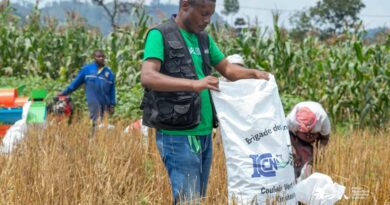 WhatsApp Image 2026-01-27 at 14.13.46 (1)