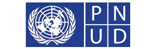 pnud_partner